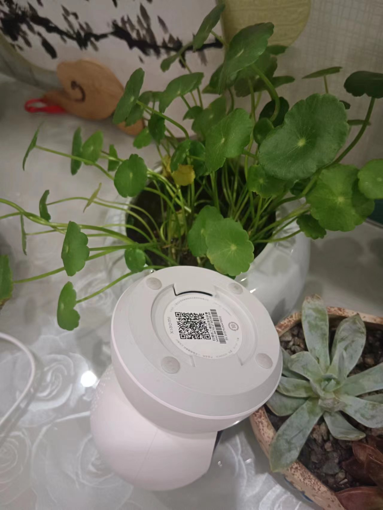 米家2k摄像头云台版可以用4g吗,米家云台2k