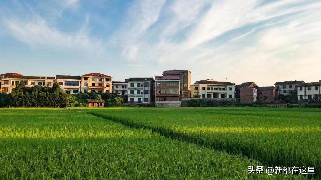 高质量发展新质生产力,高质量发展的高标准高起点