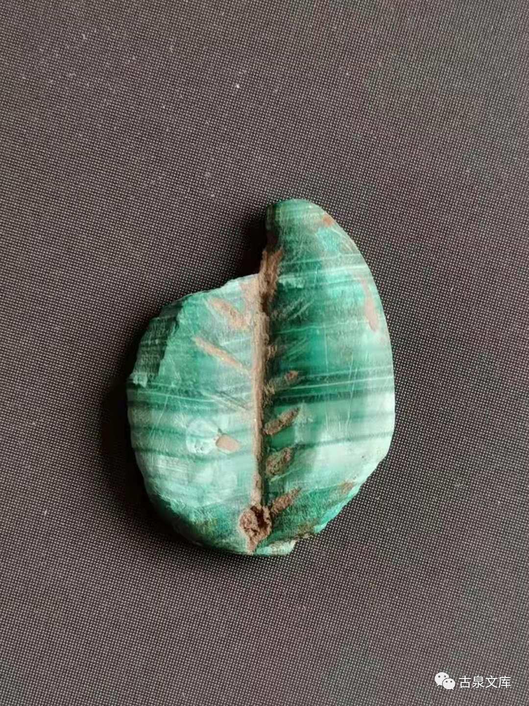 天然贝币真品价格,原始贝币发展史