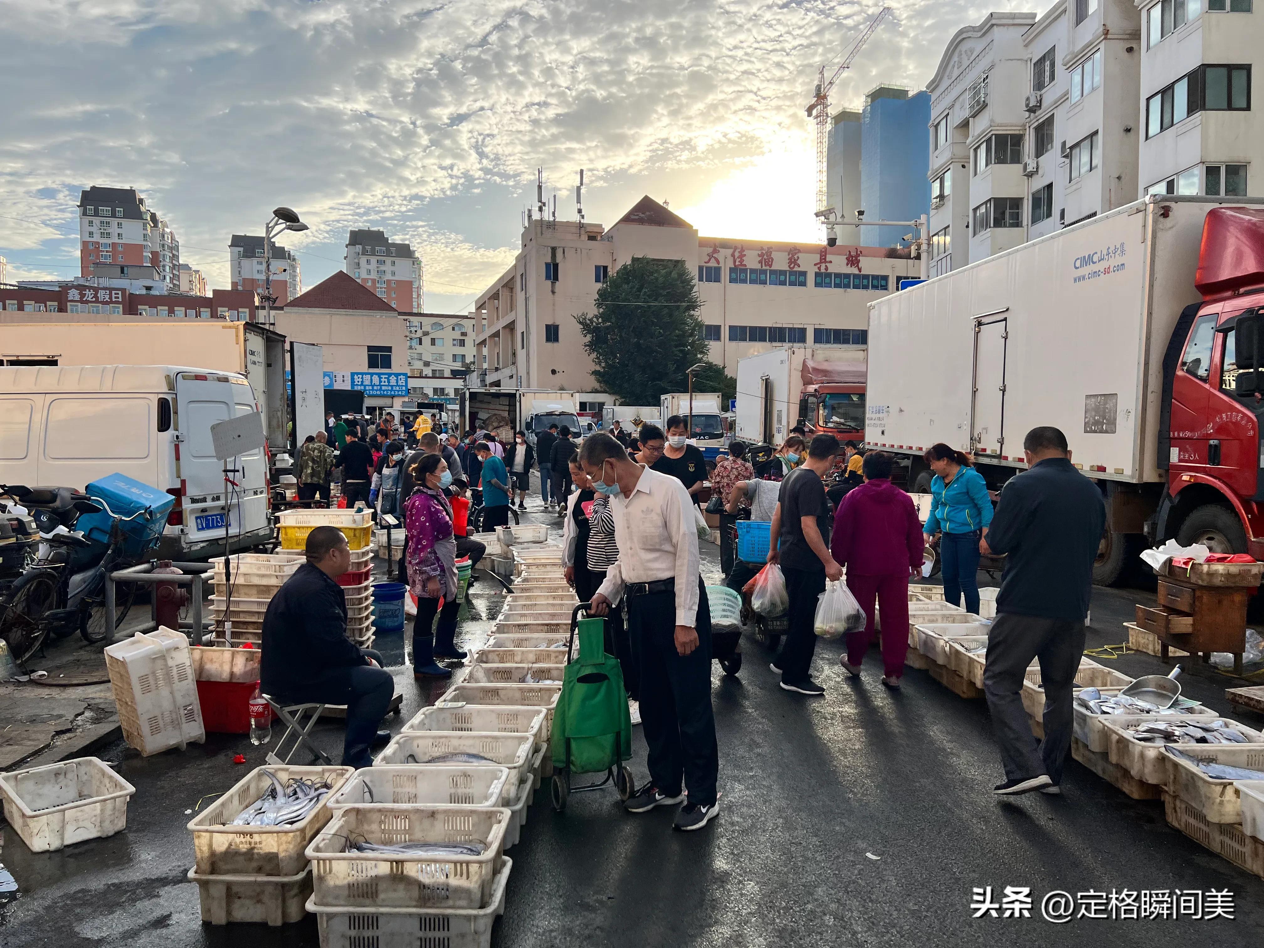 梭子蟹多少钱一斤黄岛,抢购梭子蟹30元一斤