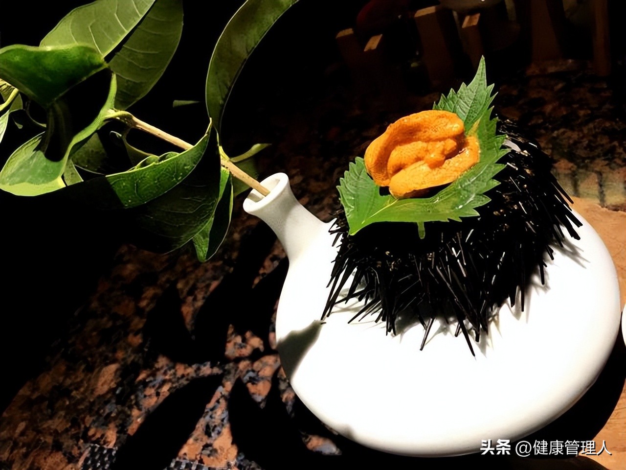 海鲜贝类品种大全及名字,22种海鲜贝类做法大全