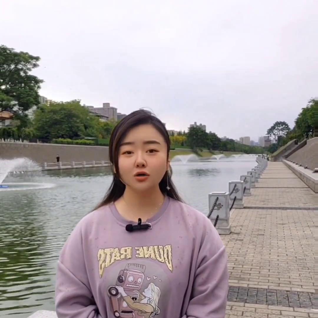 西安博物馆和陕西博物院哪个更好,西安博物馆与博物院有哪些区别