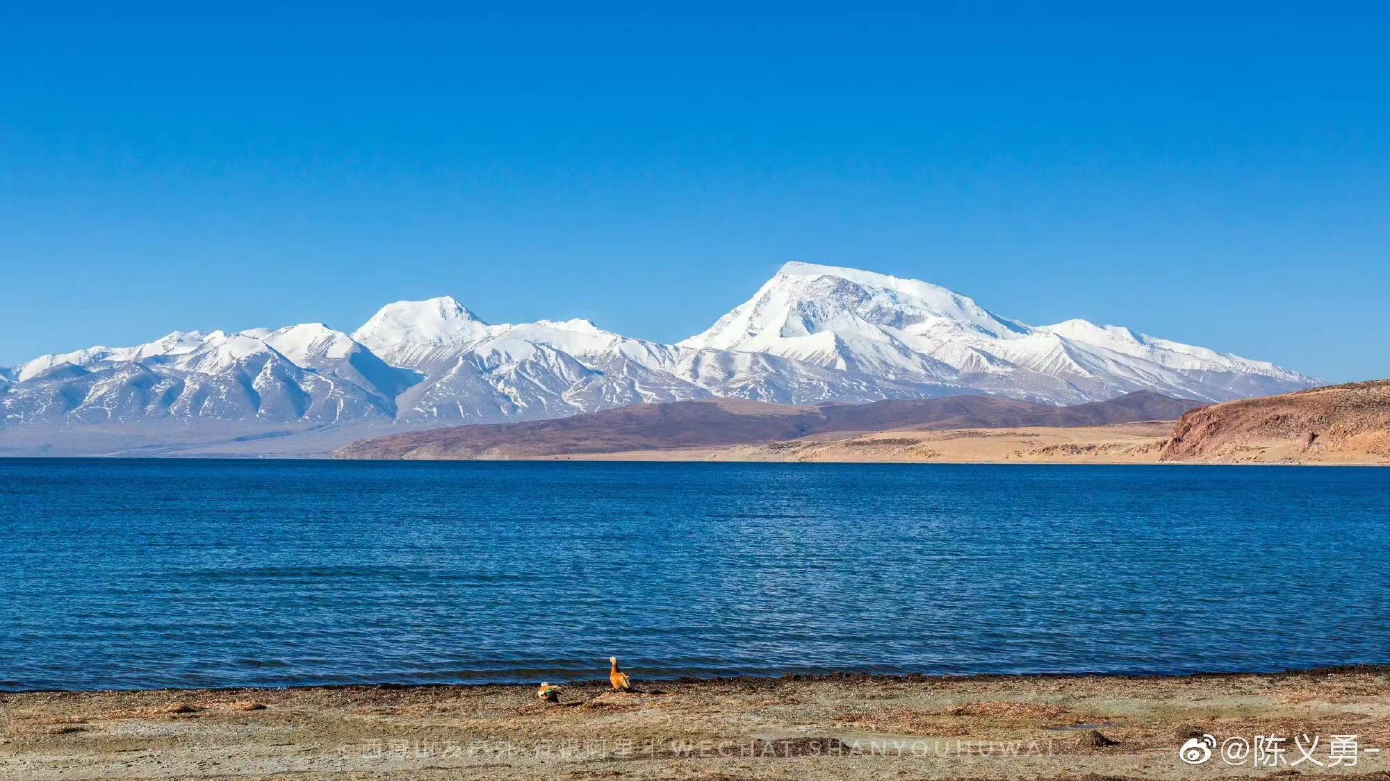 阿里最值得去的地方,阿里本地生活值得去吗