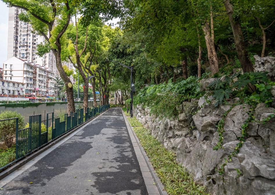 百年鲁迅公园图片大全,鲁迅公园的现状