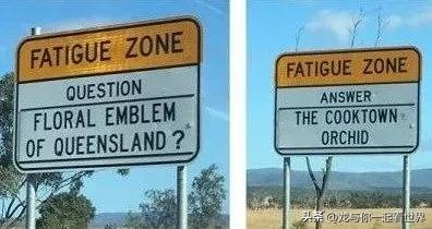 出国旅游的人真实感受,一些出国之后才发现的事