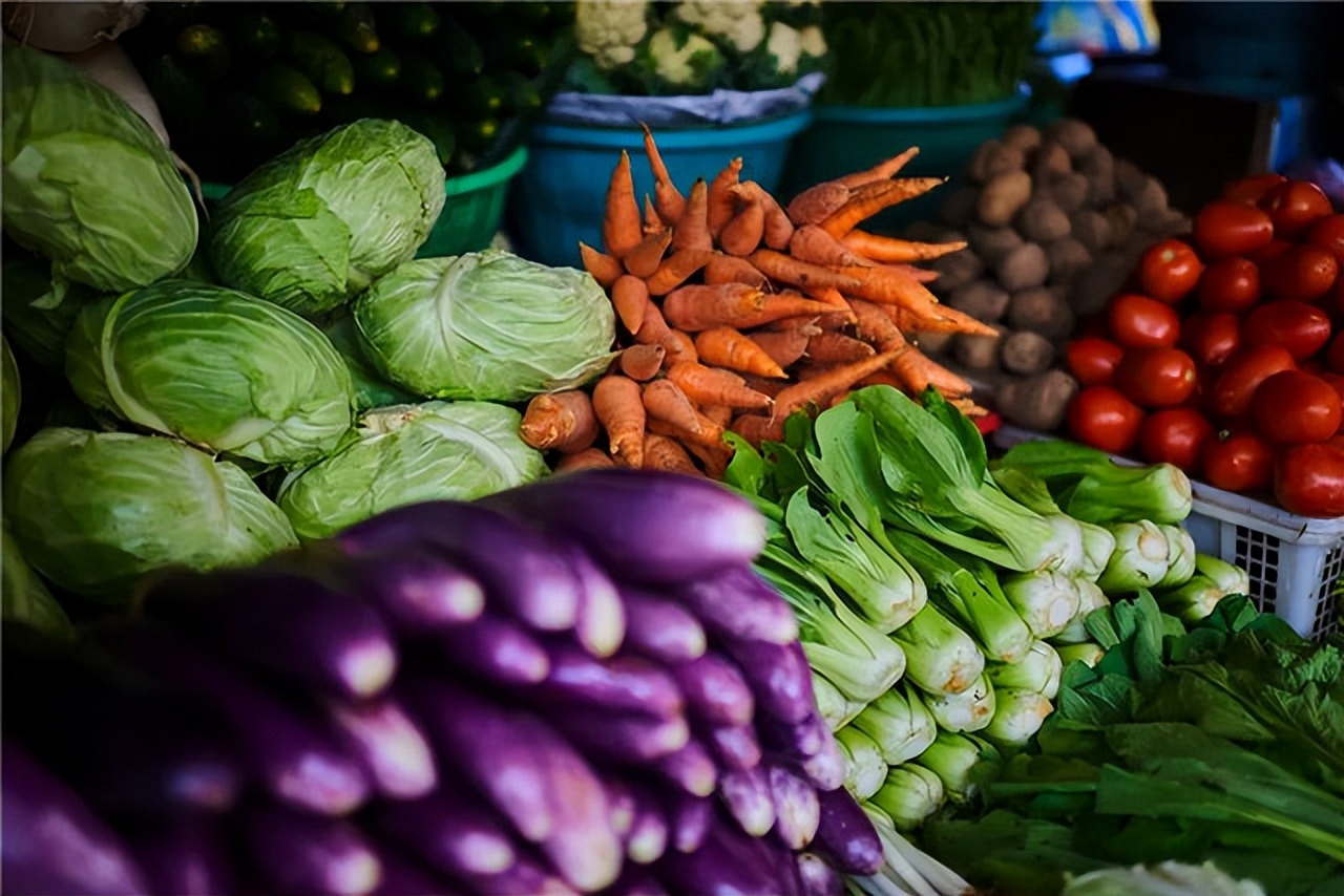 新农业新农人助力乡村振兴,如今越来越多的“新农人”