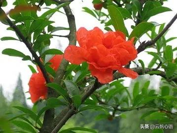 看漫画挣钱,用什么看漫画可以赚钱