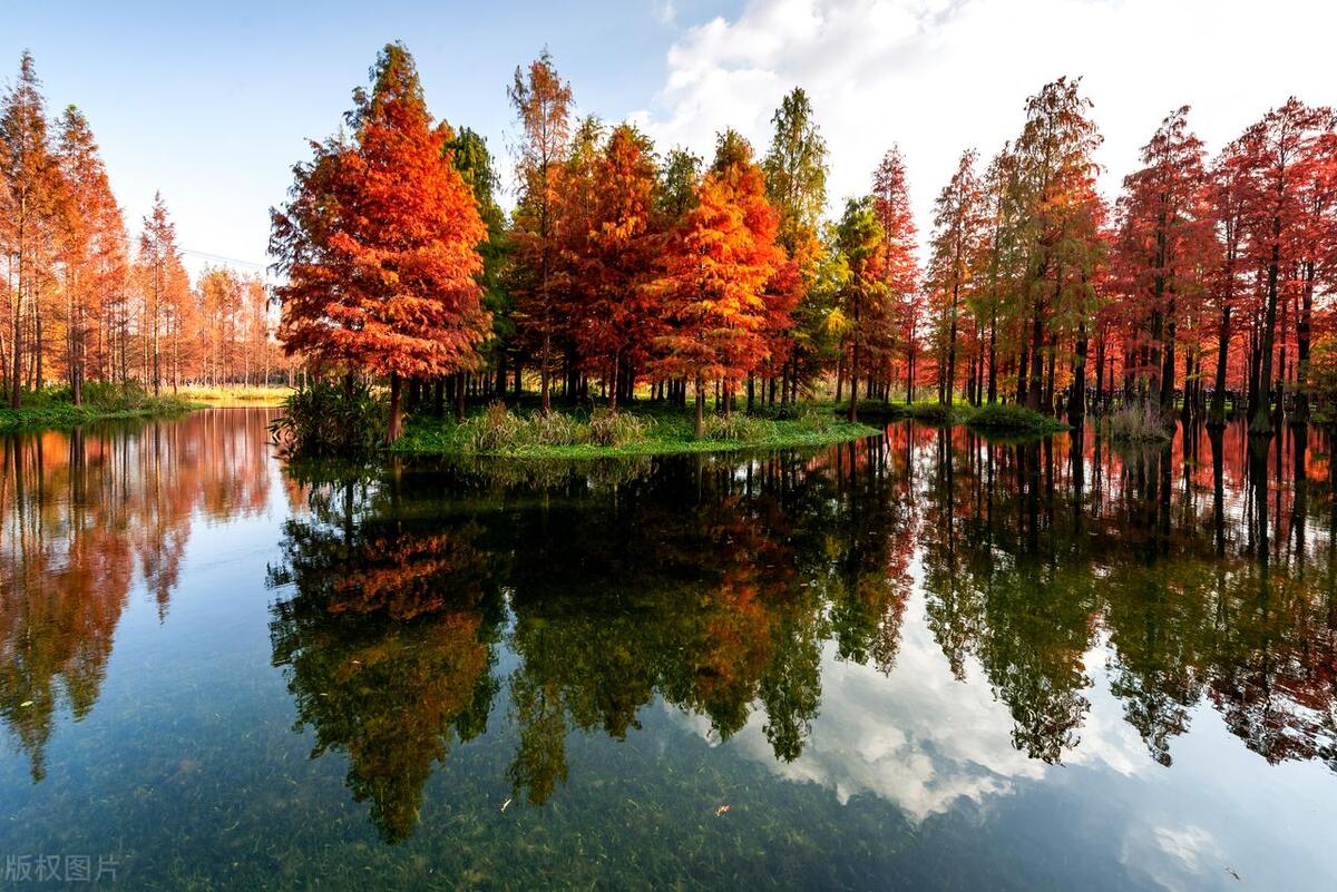 上海2日旅游攻略必去景点,上海2日旅游攻略美食