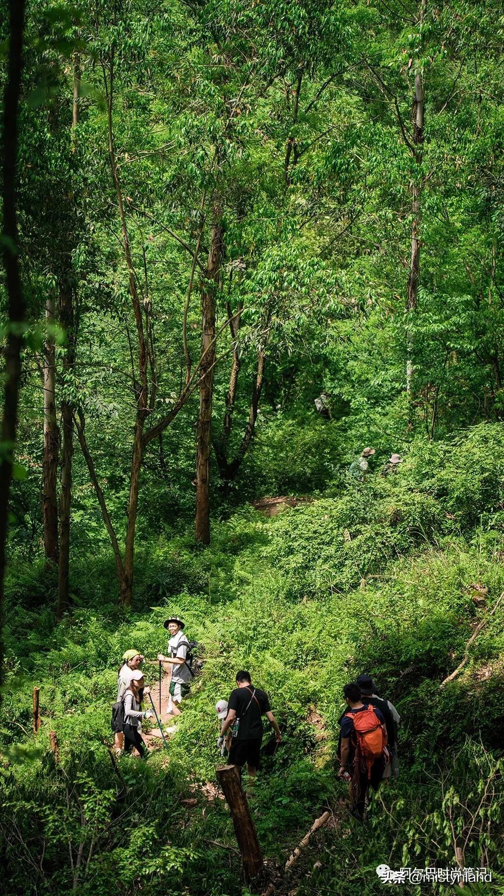 kolonsport可隆武汉,kolonsport可隆广州