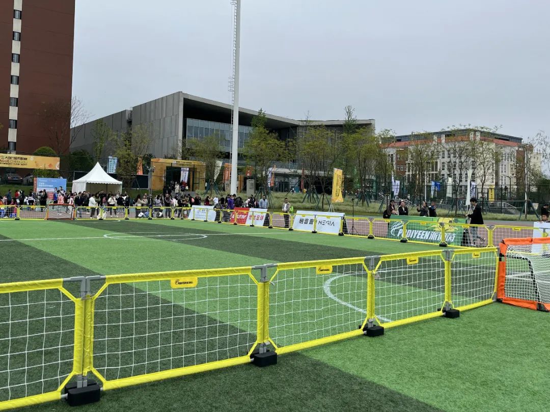 派迪茵体育有限公司,派迪茵体育股份有限公司