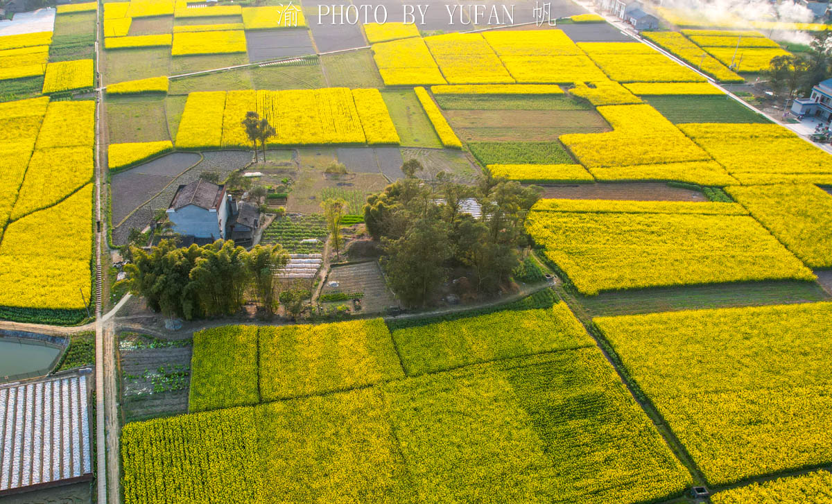 潼南油菜花旅游攻略,美好春日潼南赏花地图快来get