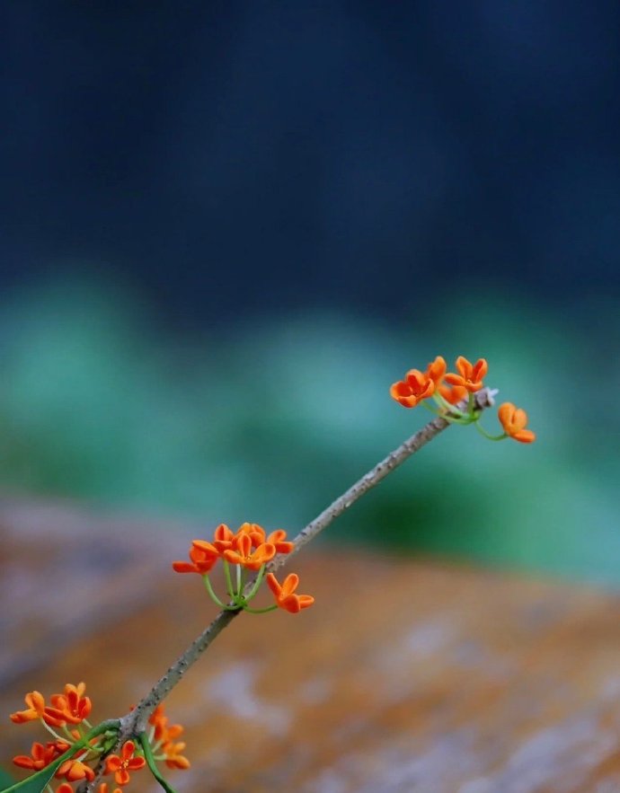 女人对初恋的感情有多深,为什么女人对初恋感情那么深