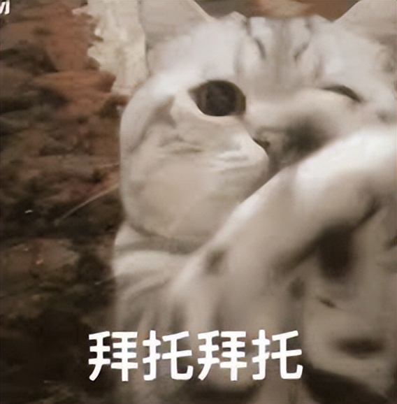 落马洲口岸今天过关情况,落马洲24小时通关