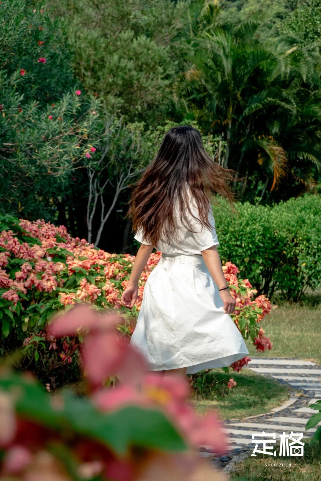 深圳湾流花山花海,深圳蝴蝶谷花海图片