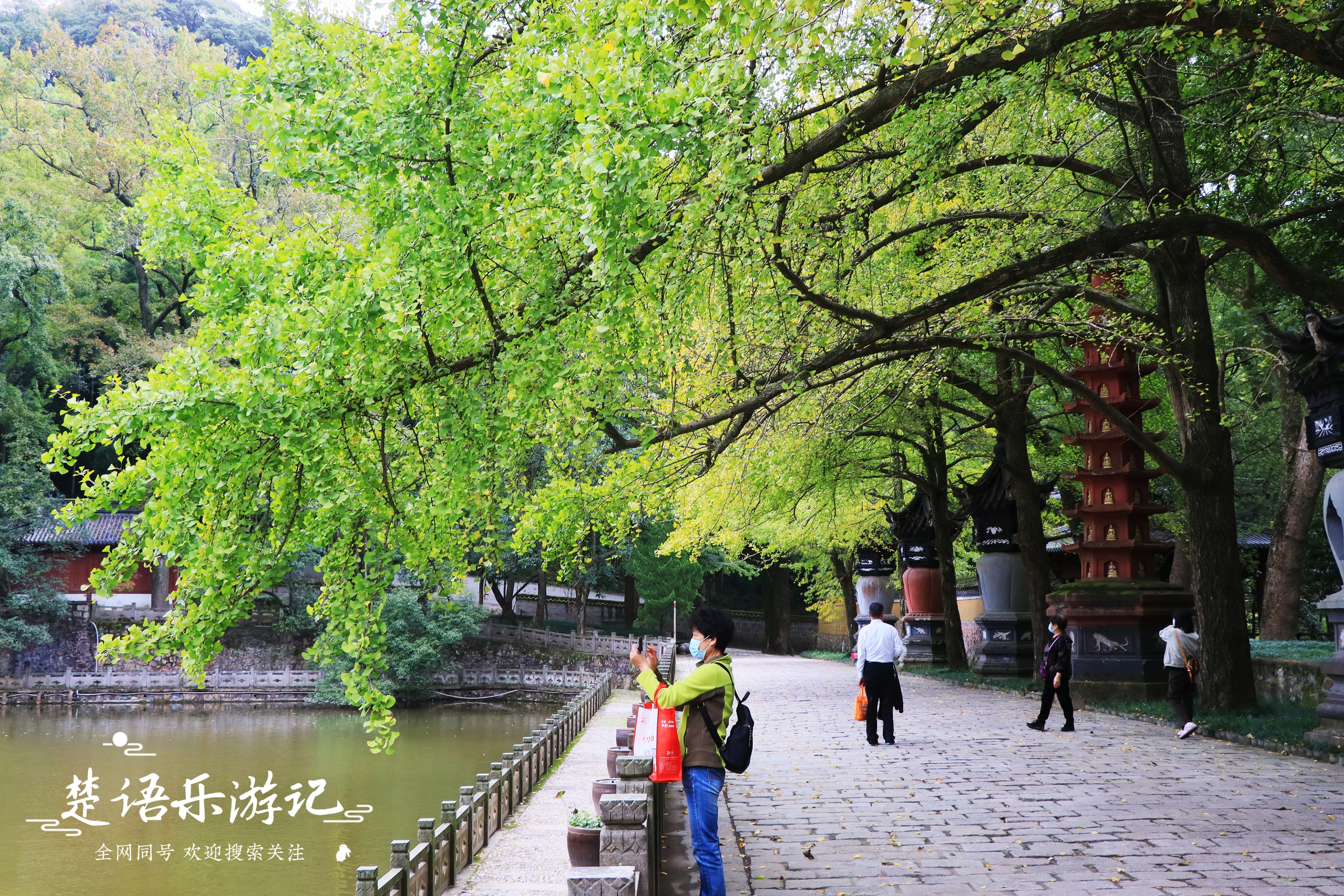 宁波太白山麓东吴镇，《大江大河2》的取景地，竟藏着几十处风景