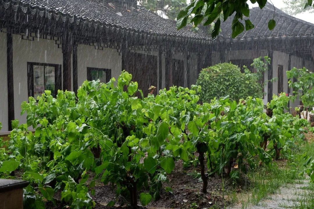 走，去苏州丝绸博物馆