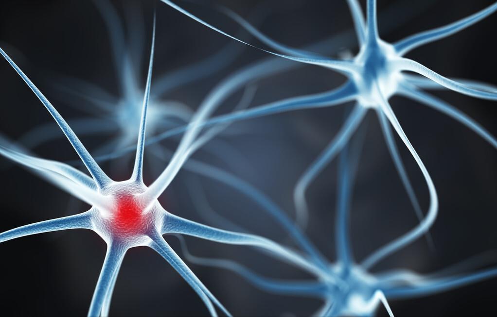 最新降糖的特效中药是,最新中药降糖药物