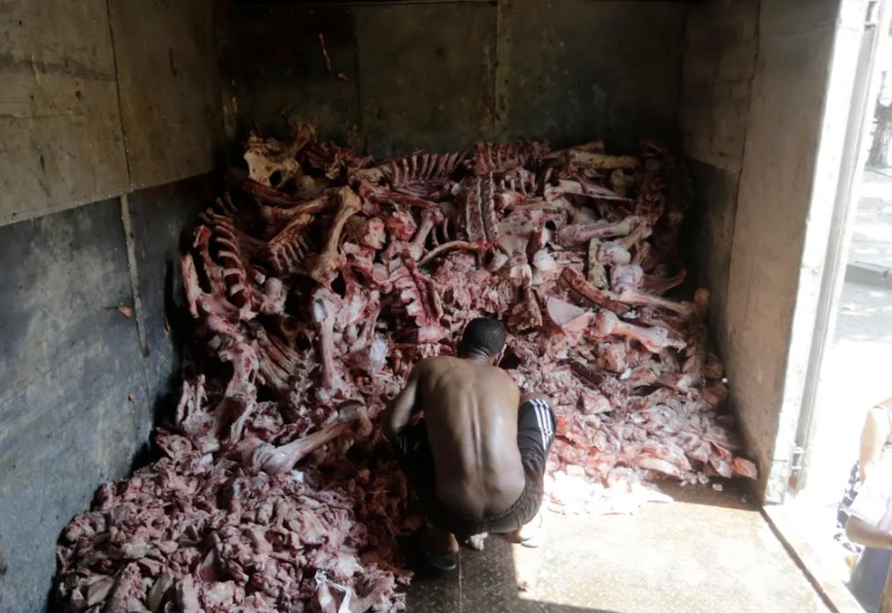 巴西在闹饥荒怎么还大量出口粮食,巴西饥荒解决了吗