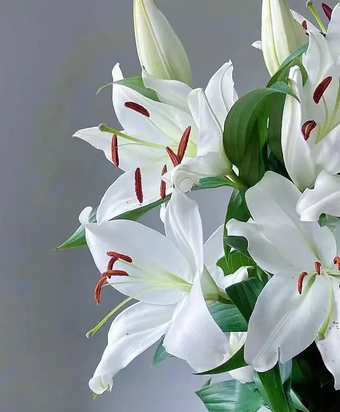 那些没说出口的话就留在心里,那些没说出口的话就藏在心里吧