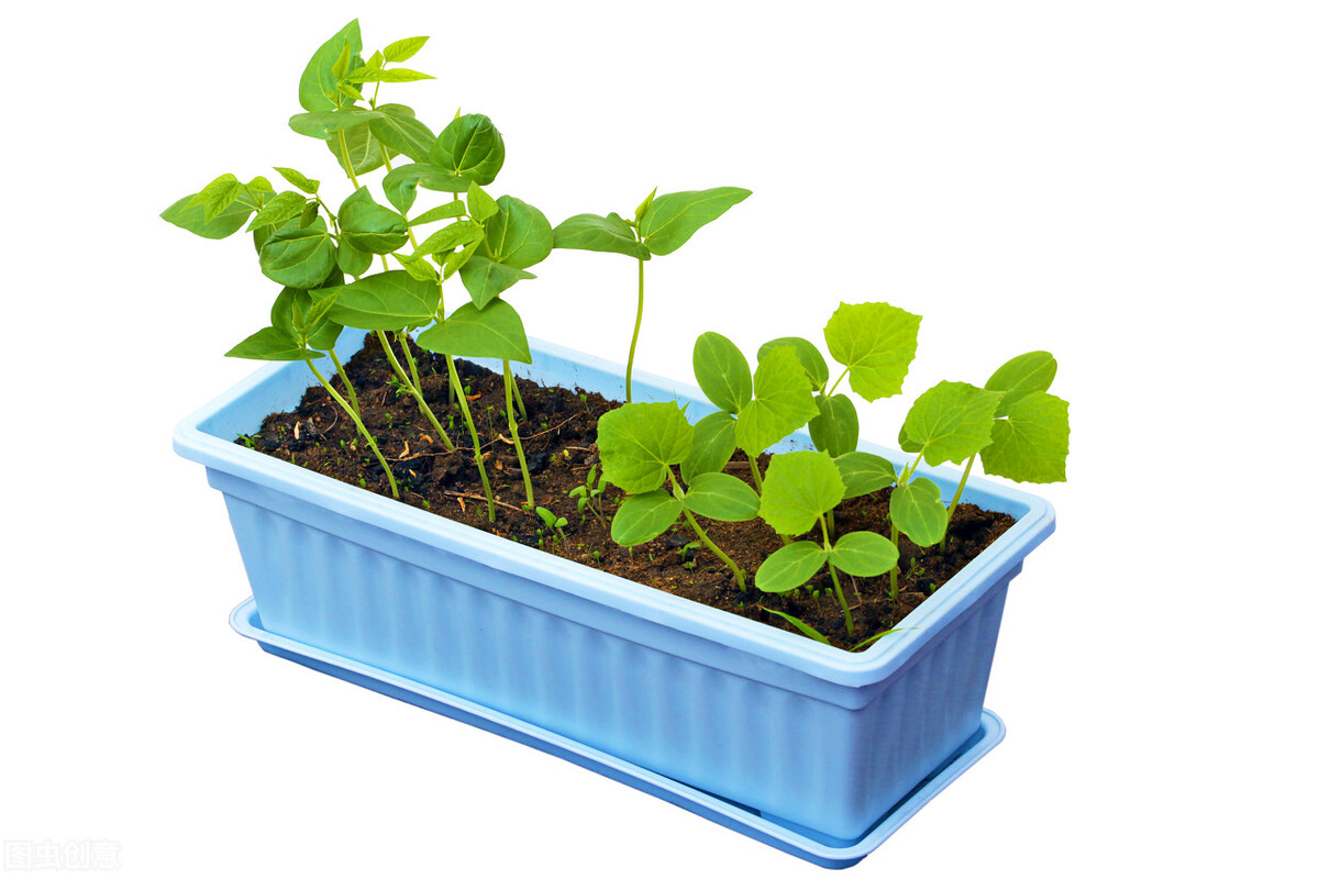 节俭行为习惯有哪些,越有钱的人越懂得不浪费节俭