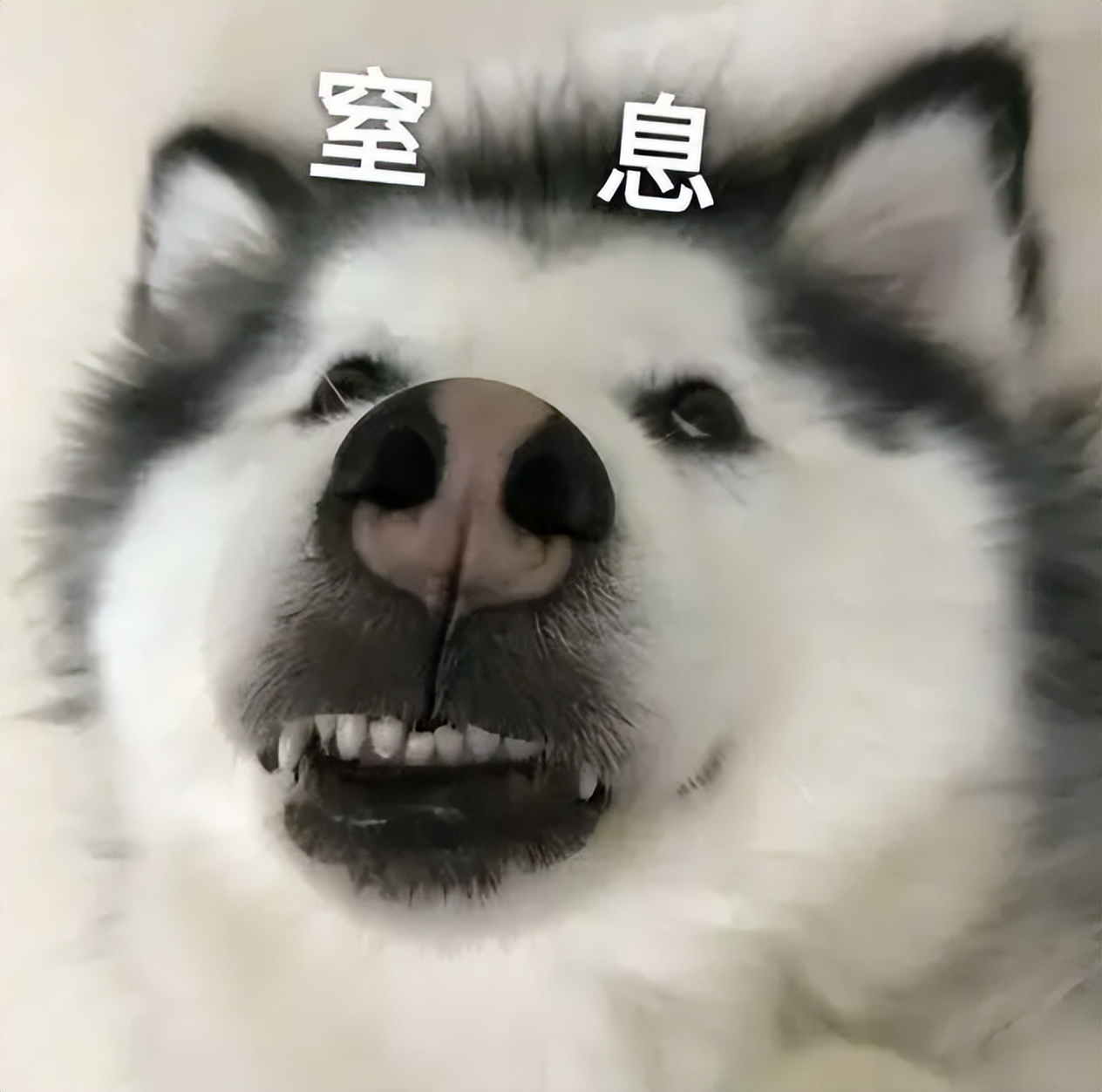 喝一口矿泉水就死亡后续,喝了一口矿泉水之后难受怎么办