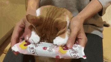 夏天孩子皮肤痒抓破皮,小孩子皮肤干燥发痒都抓出血来