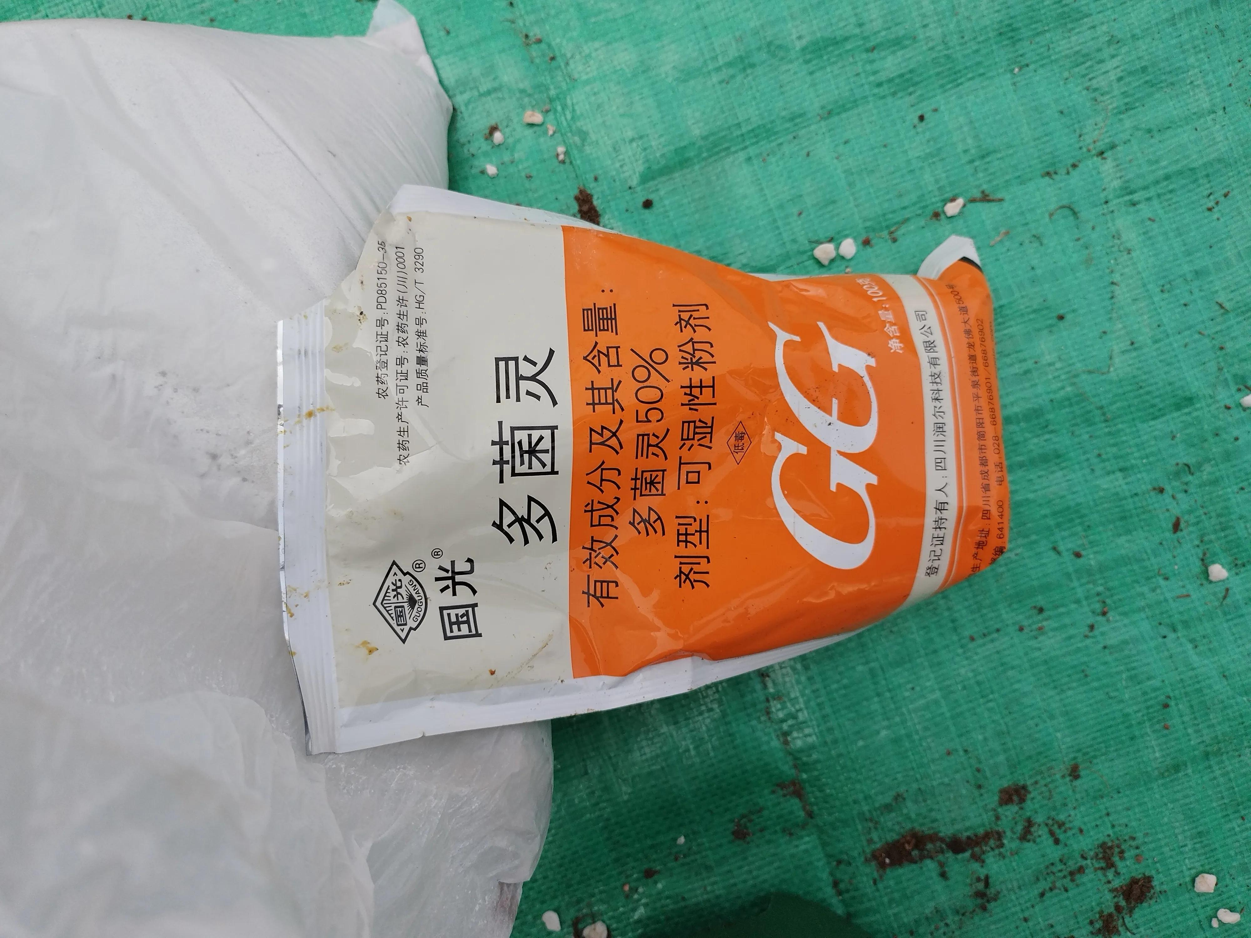 月季黑斑病最有效的方法,月季黑斑病的原因及处理