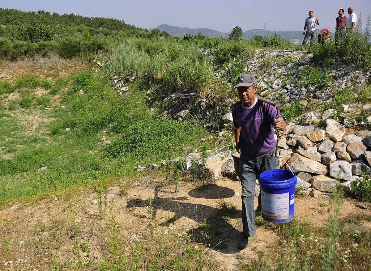 资本下乡了农民怎么办,资本下乡到底是好事还是坏事