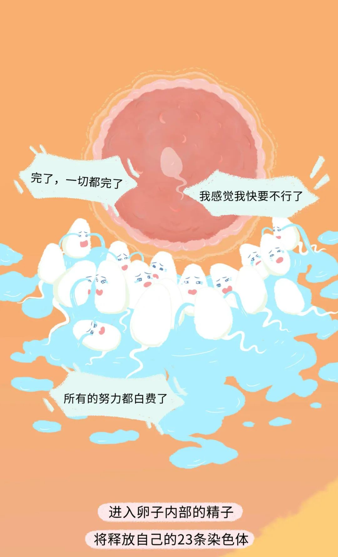 精子进入女生体内的全过程！（漫画）