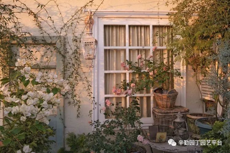 第八届园丁奖露台组《030号》洛基花园