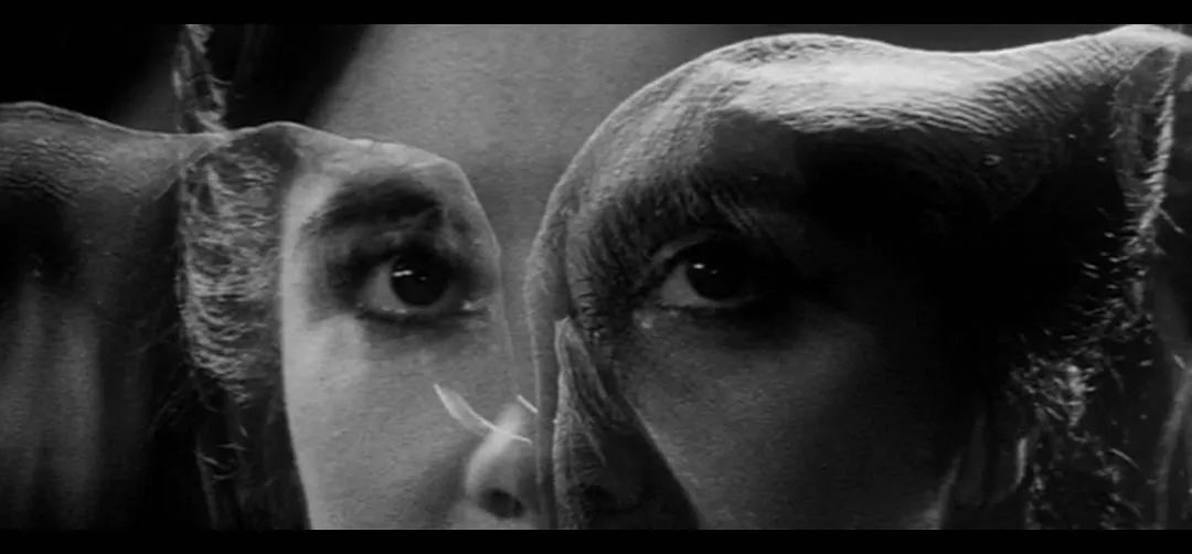 最值得看的十部新片,超爽新片来袭你会选择看哪一部呢