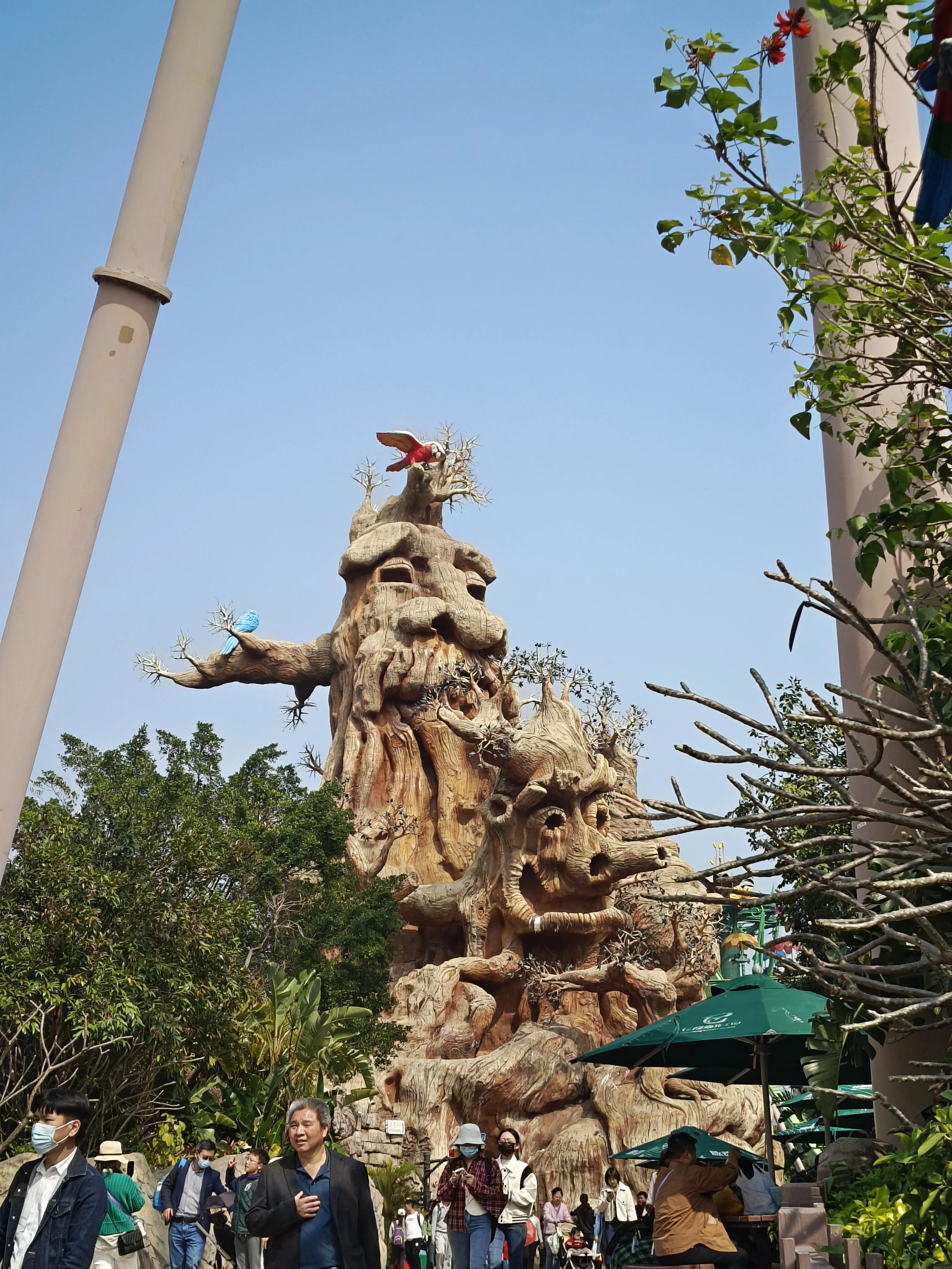 自驾珠海长隆三天两晚,来回700公里只为了学习更多的知识