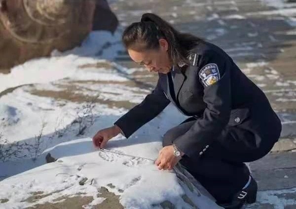 董艳珍挑战不可能李昌钰视频,董艳珍李昌钰节目