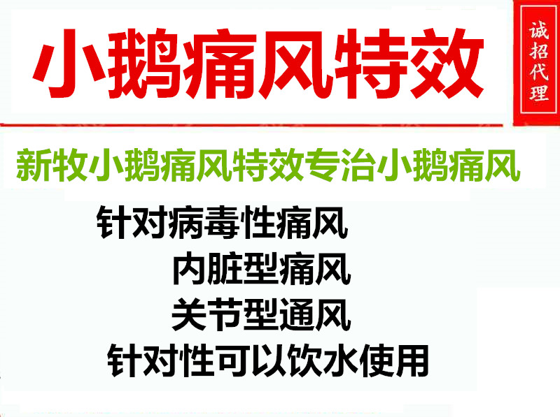大米喂鹅会导致鹅痛风吗,鹅营养性痛风与病毒性痛风的区别