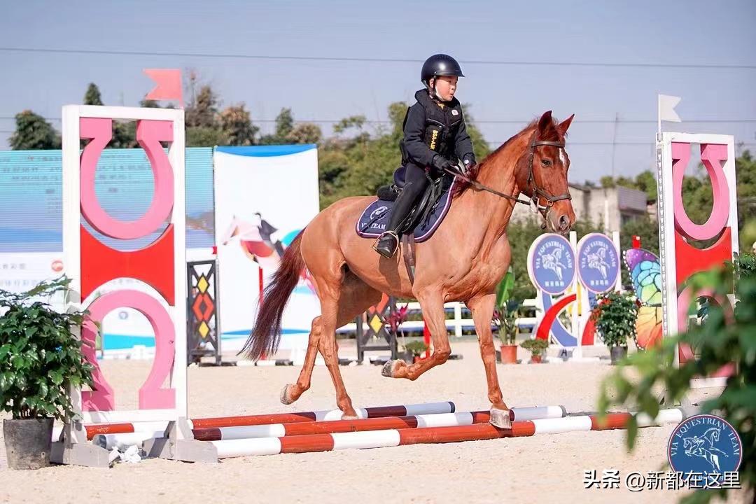 端午节来成都,成都端午节有什么讲究