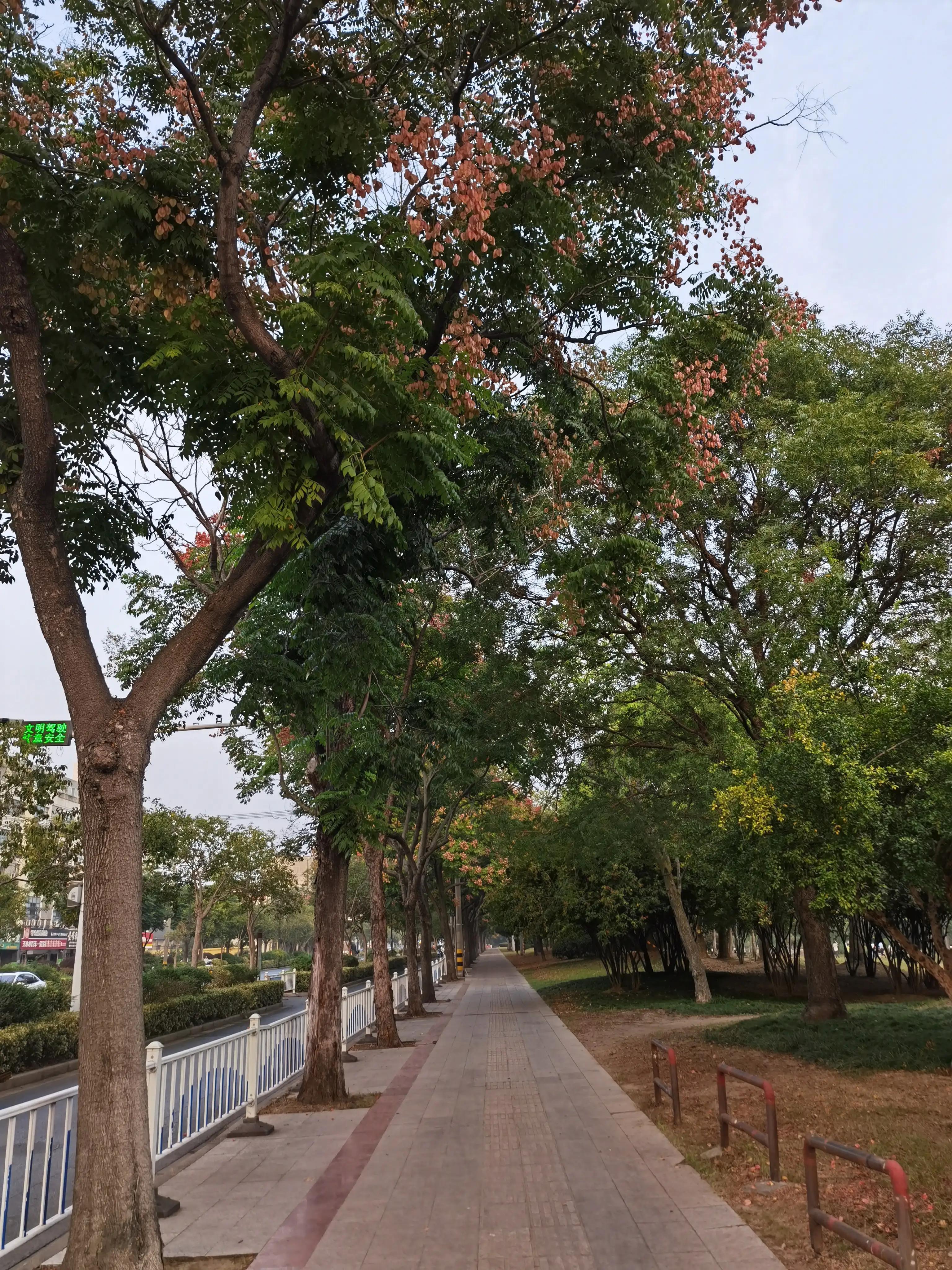 陈姊妹视频,陈姊妹最新视频