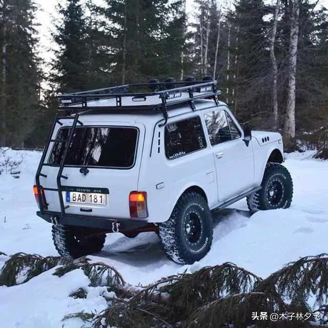 坦克100小型硬派suv什么时候上市,坦克100小型硬派suv最高时速