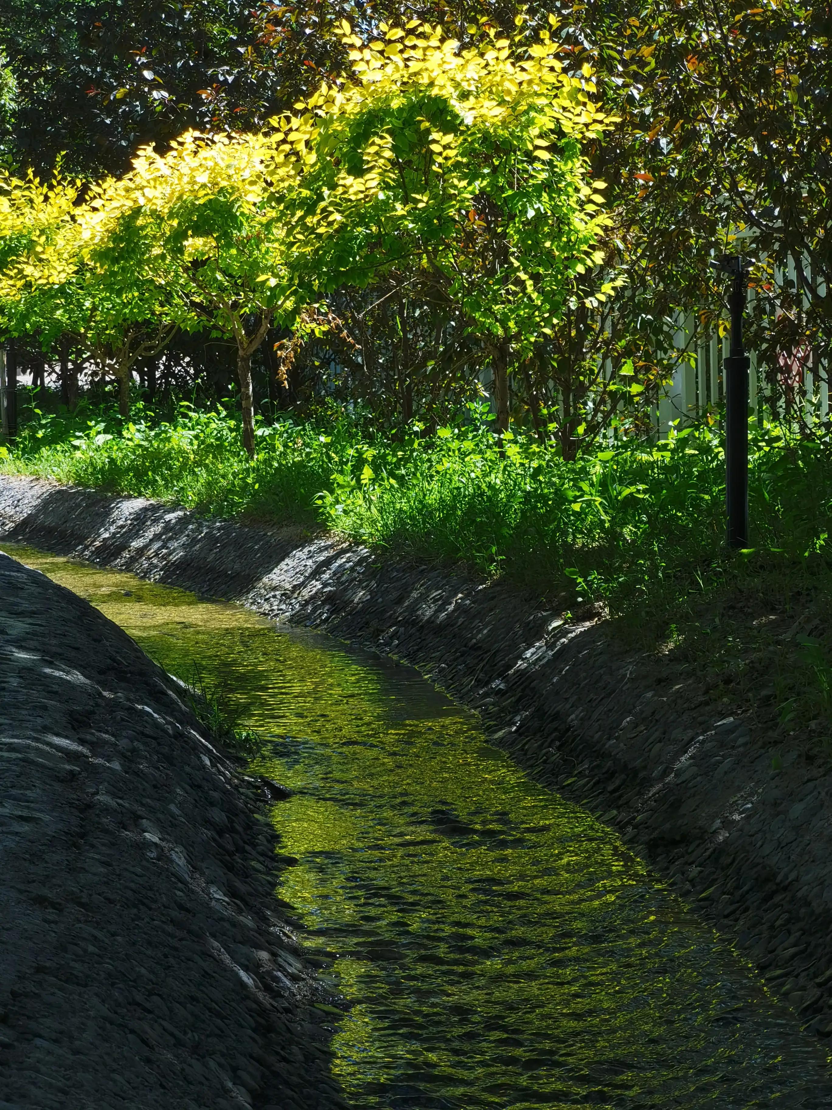 止水之难，难于死心