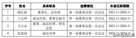 蜂巢能源是上市公司,蜂巢能源ipo申请