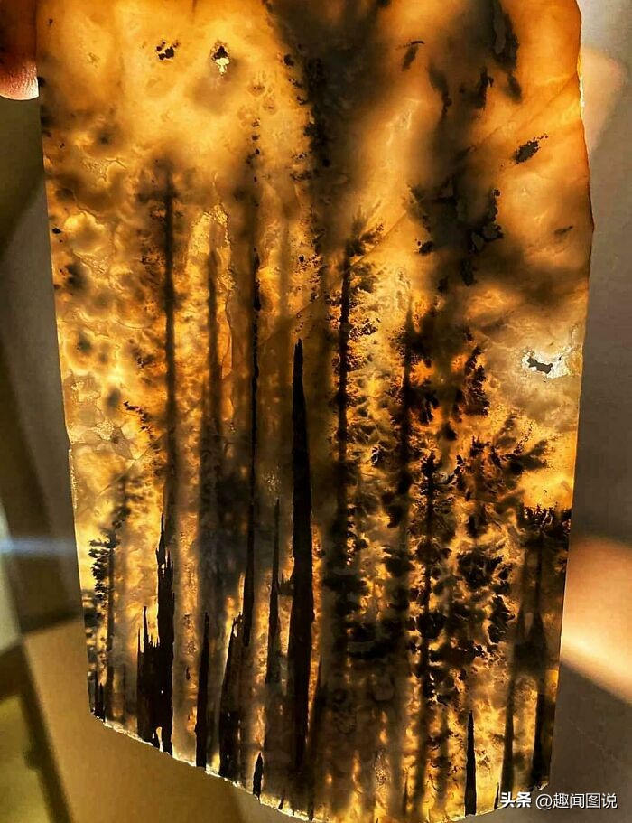 风靡美国的柠檬杯胸罩，印度*队军**的大象战机，36张图看世界