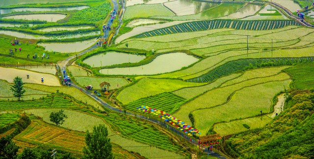 农耕文明的发展趋势,中国传统农耕文化的表现