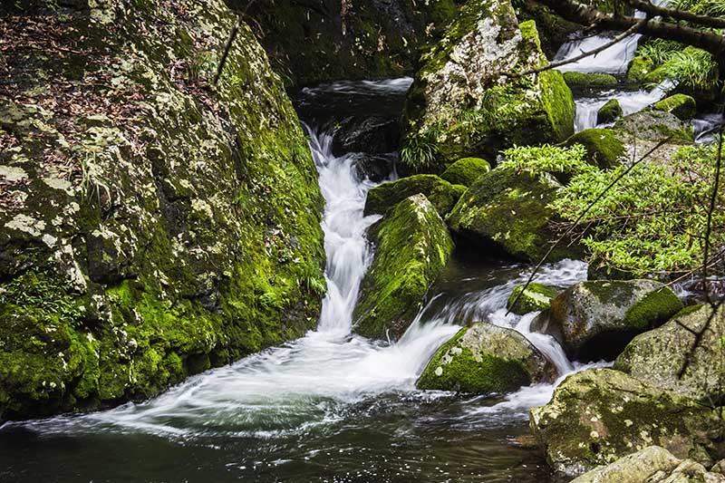 永泰云顶天池,永泰云顶天池门票