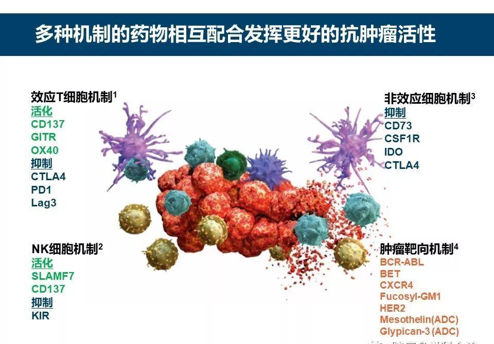 怎么判断狗狗肿瘤是恶性还是良性,狗狗肿瘤手术后吃什么食物比较好