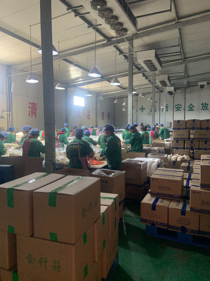 好品山东一品原浆,好品山东蓝莓