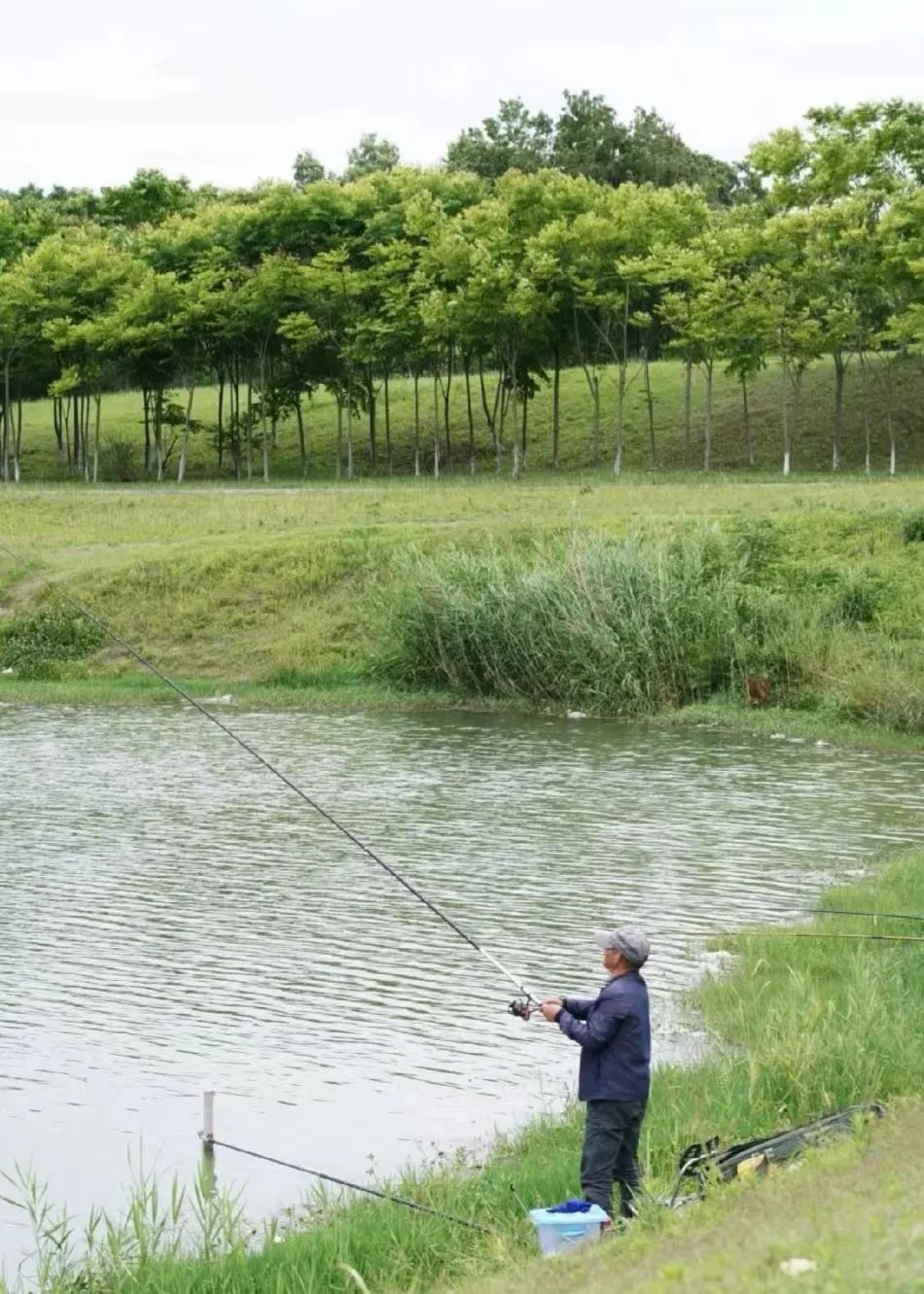 成都周边一日游露营烧烤好去处,成都周边春天适合野炊露营的地方