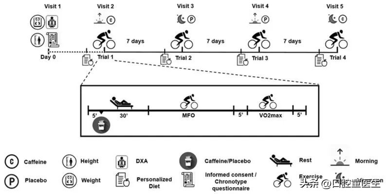 喝咖啡运动燃脂加快,西班牙摩卡燃脂咖啡