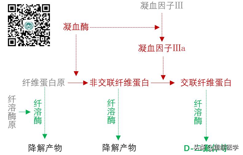 肺栓塞患者，怎么选择溶栓药物和抗凝药物？一文搞定！