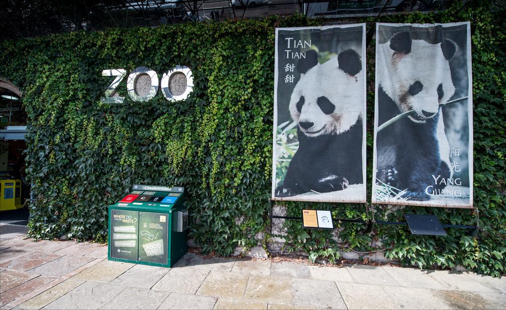 租大熊猫挣钱吗,租熊猫的钱可以造航母吗