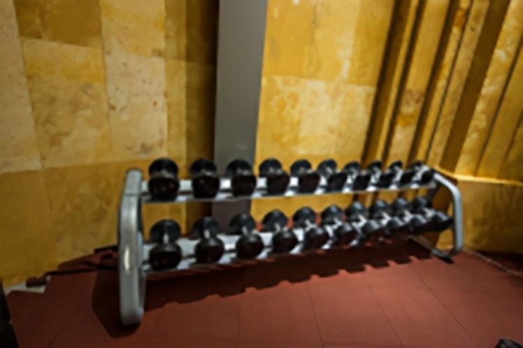 锻炼胸部和肩部的器材,锻炼肩部的辅助器材