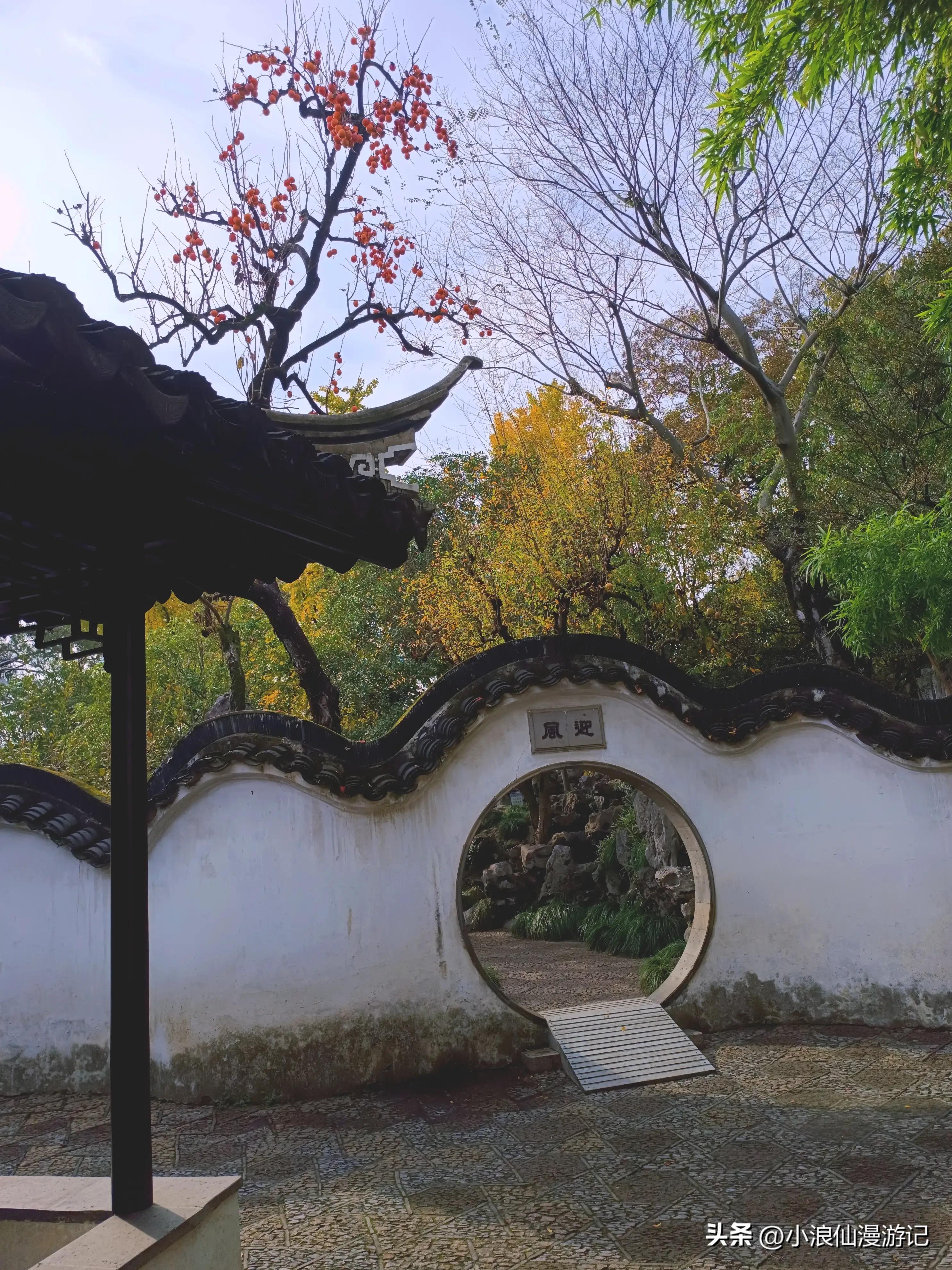 苏州园林怡园拍摄地点,苏州园林里的怡园是什么